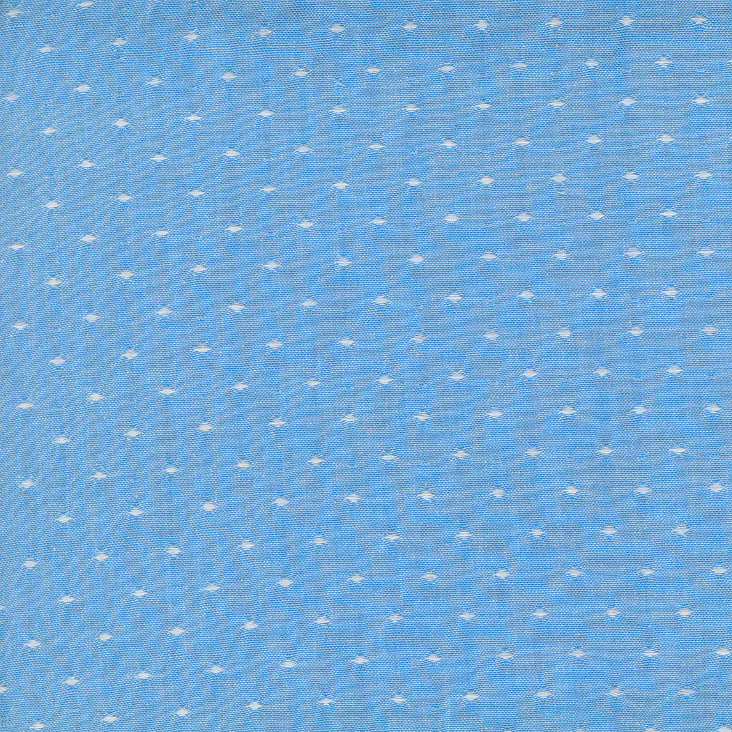 Denim & Daisies Plaid Wovens Stonewashed Dots