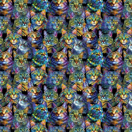 Cat Artistry Portraits