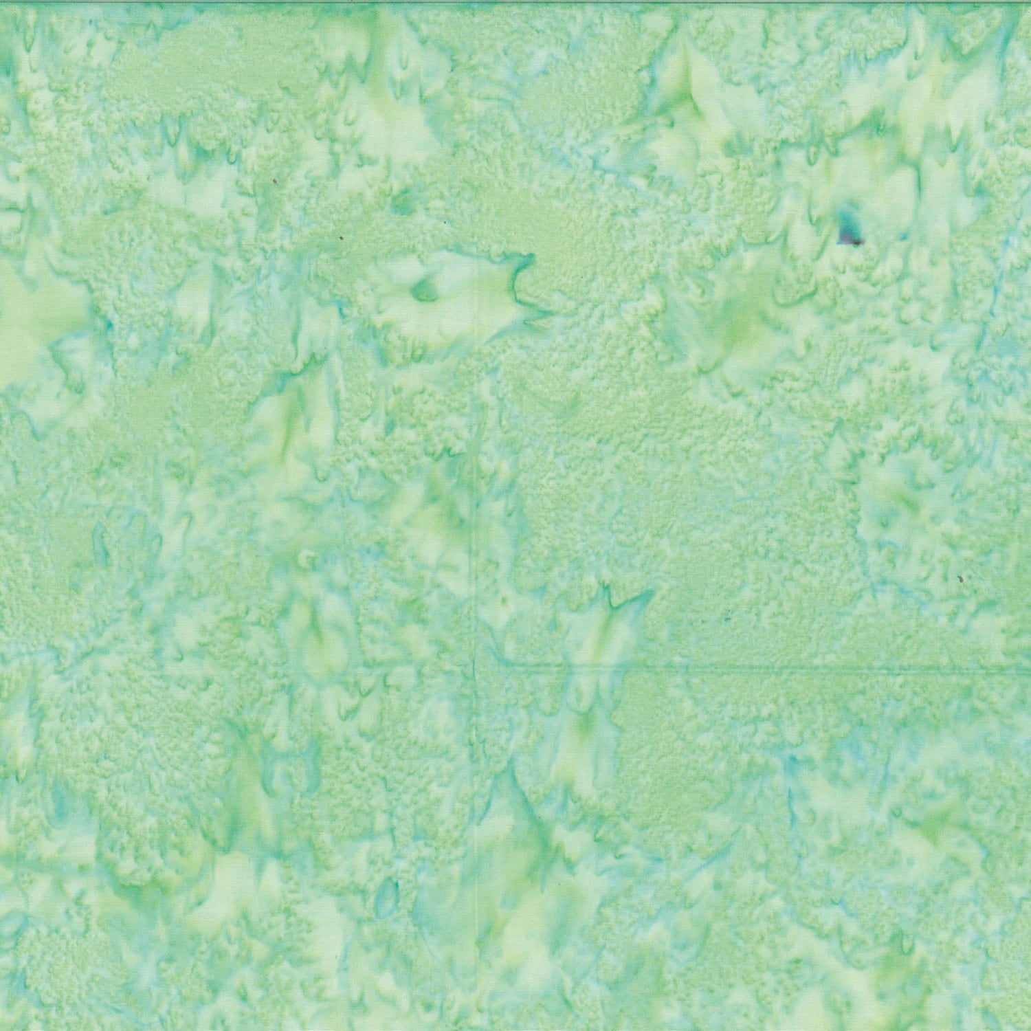 1895 Watercolor Honeydew