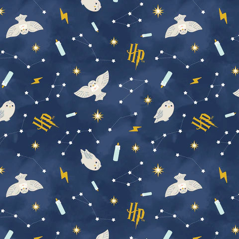 Harry Potter Mystical Winter Wonder Night Sky