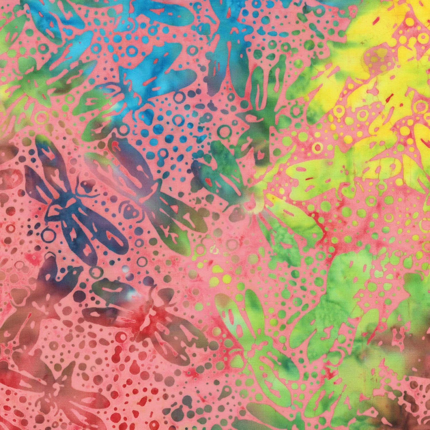 Baliscapes Punch Dragonfly Pizazz