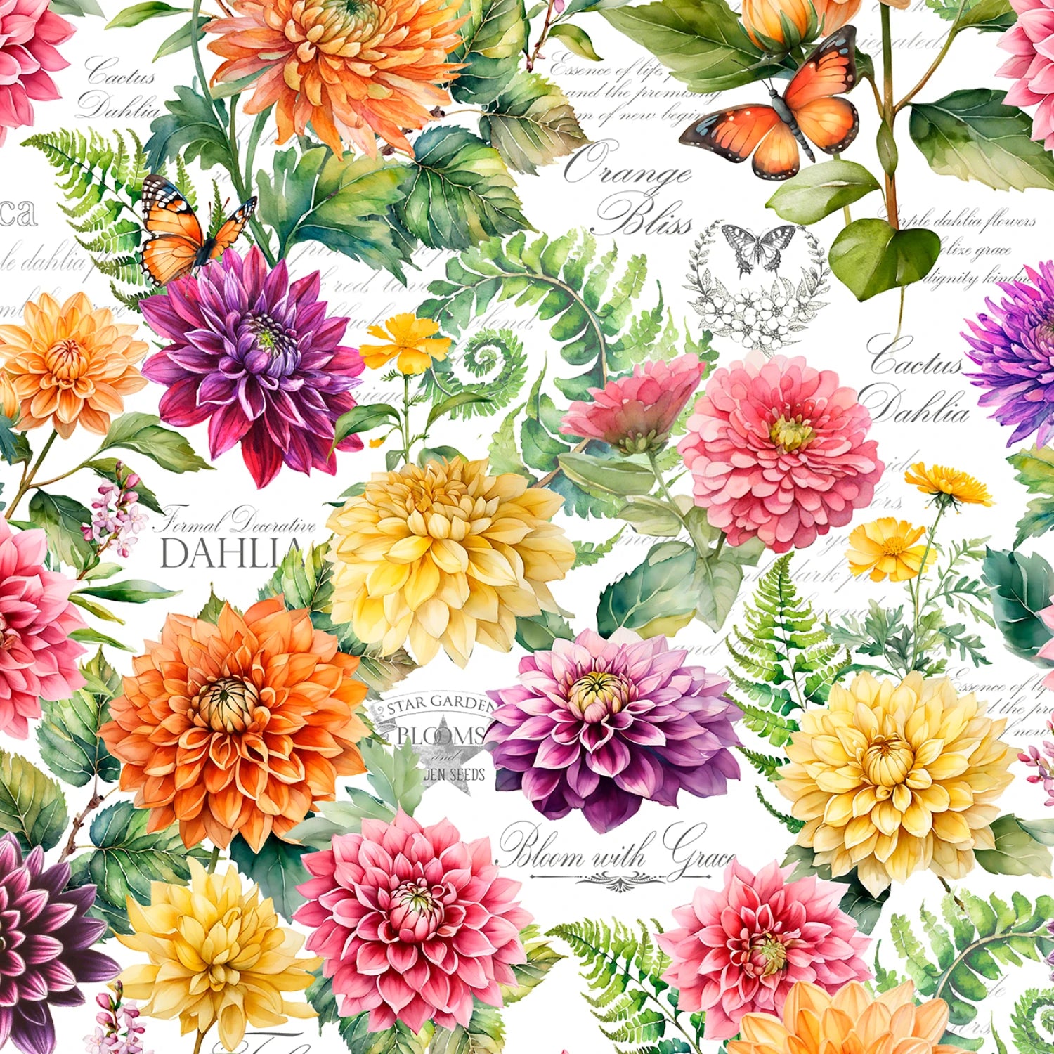 Dahlia Botanica Large Florals
