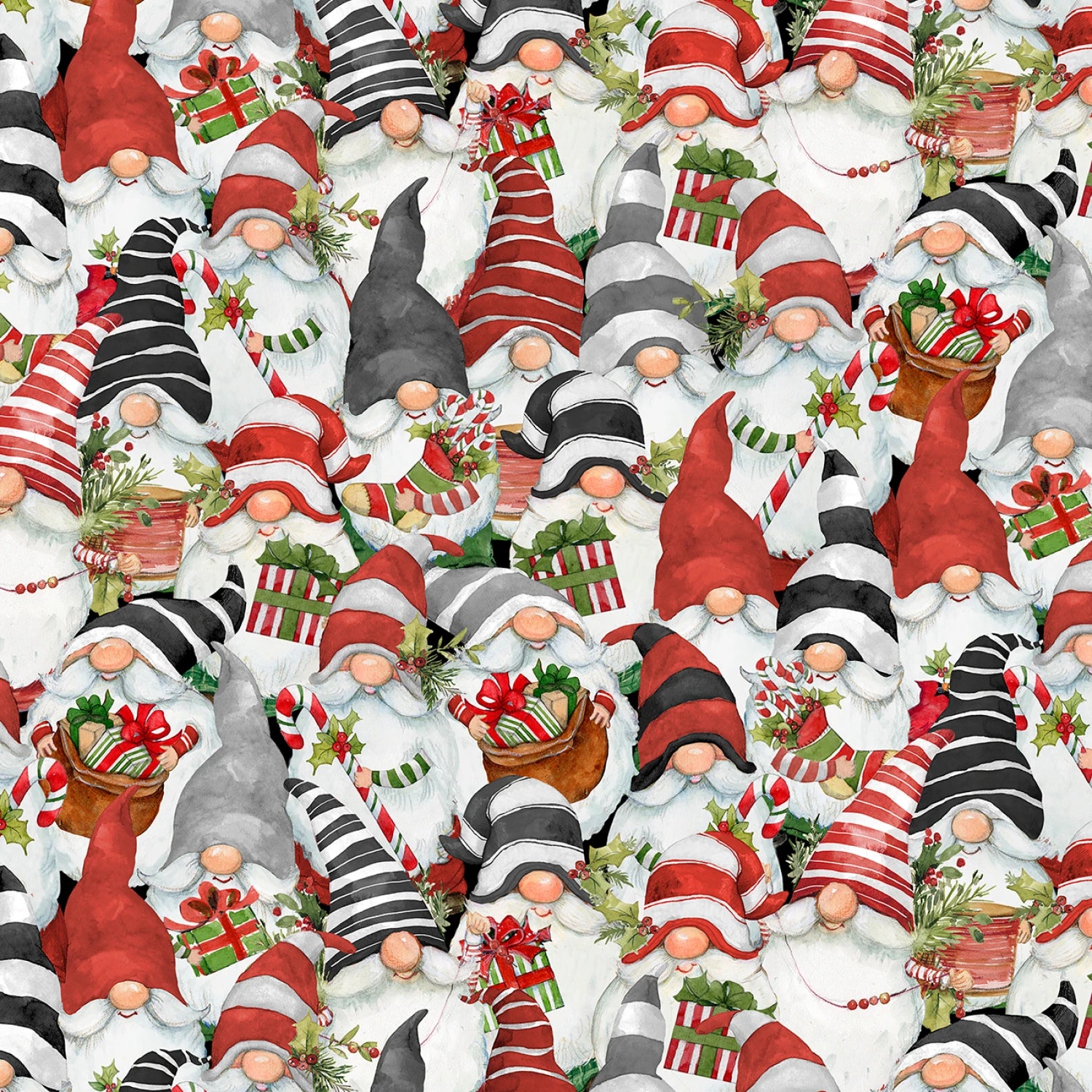Merry Gnome-ments packed Gnomes