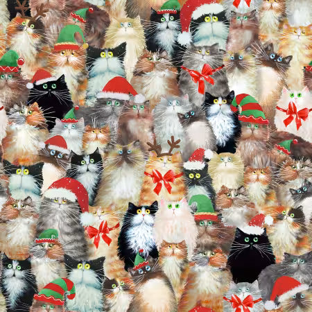 Meowy Christmas Packed Cats