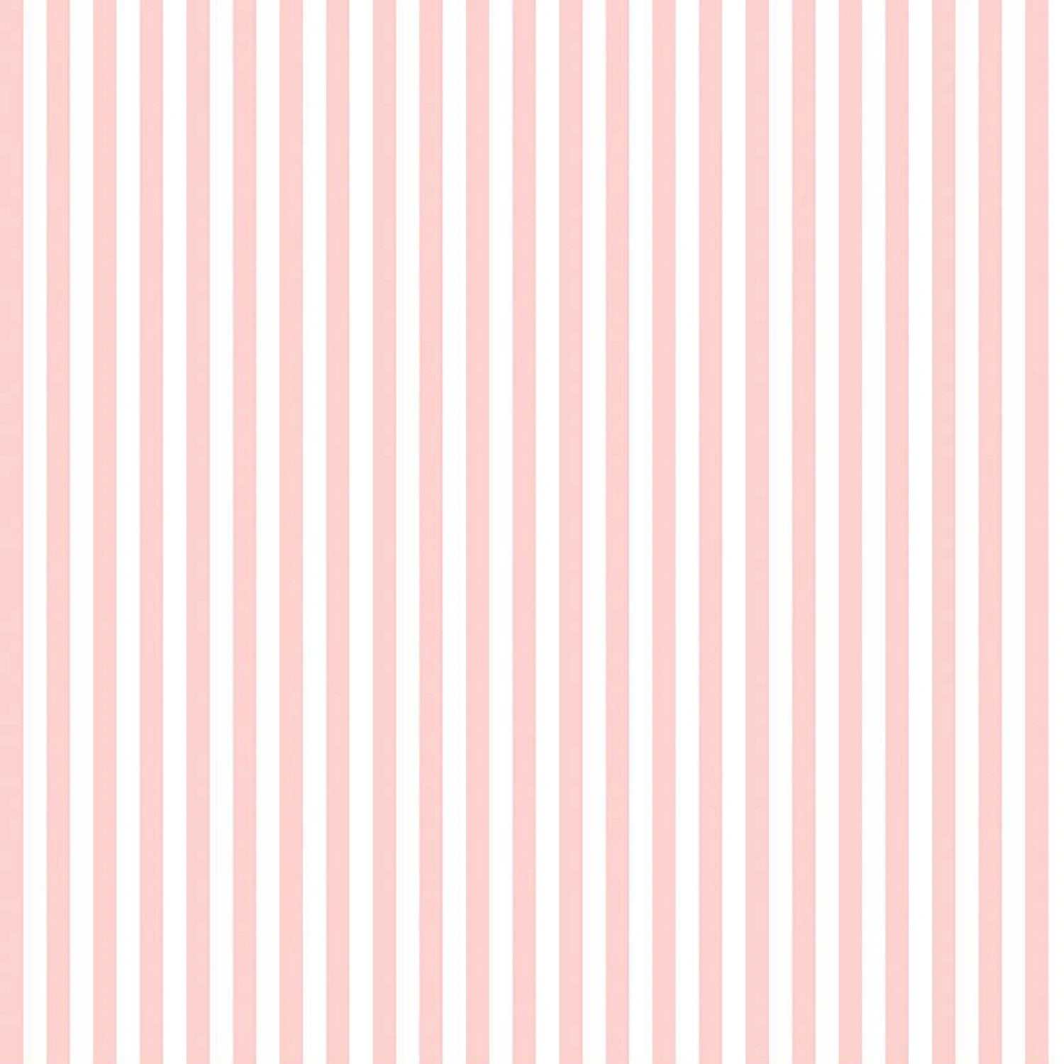 Basic 1/4" Stripe Baby Pink