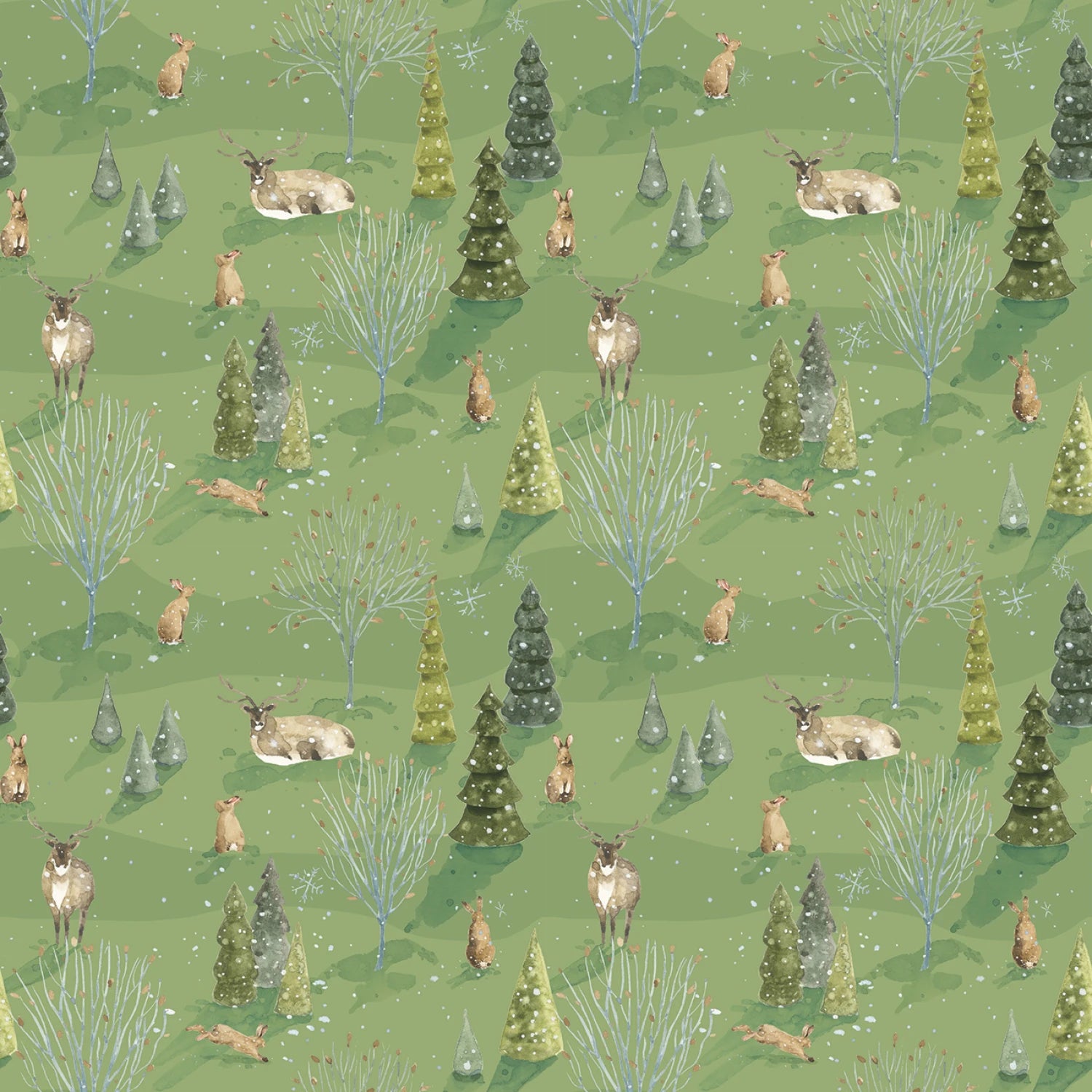 Santas Tree Farm Woodland