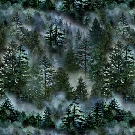 Misty Mountain Evergreen Forest