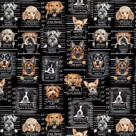 Dog Mugshots