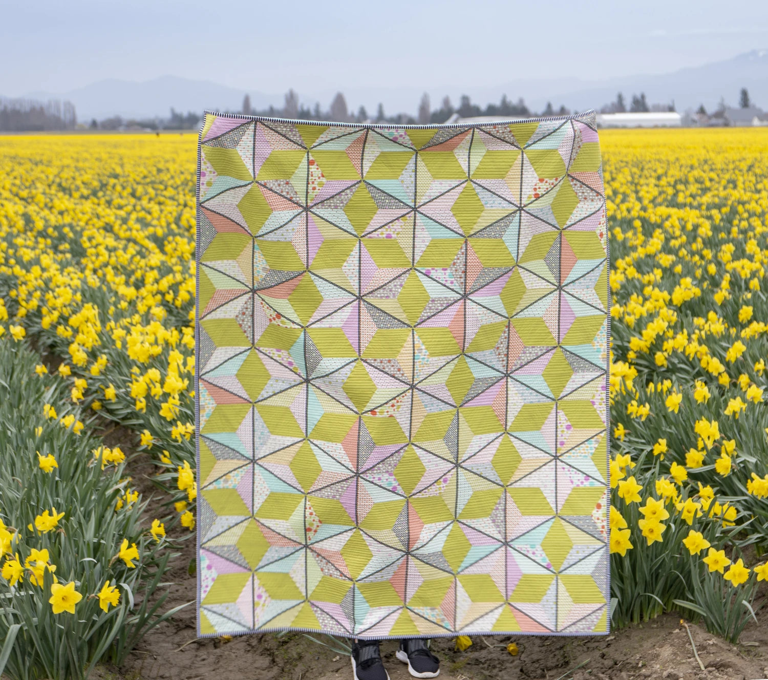 Lollipops & Licorice