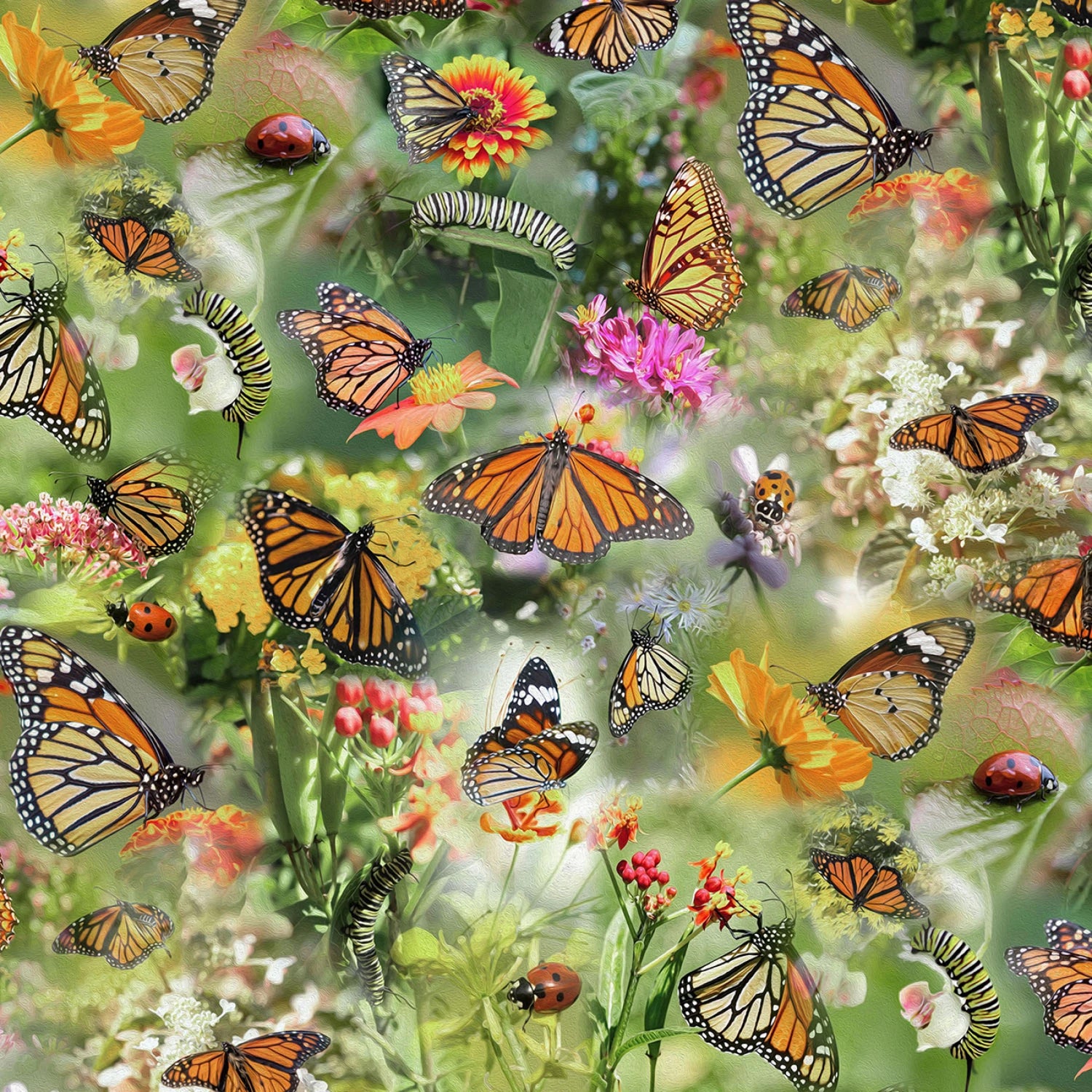 Mariposa Masterpiece Meadow