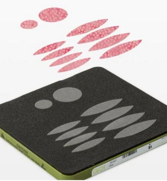 Accuquilt GO! Daisy Die