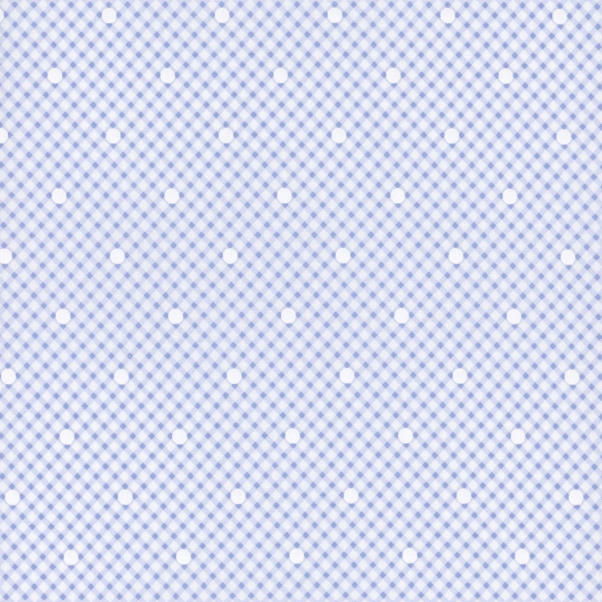 Memory Lane - Dots on Blue Plaid