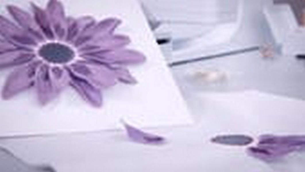 Bernina Designer Plus Software V9 available in Canada at The Quilt Store