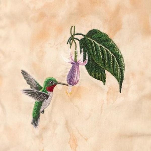 OESD Hummingbird Dance by The Hautman Brothers