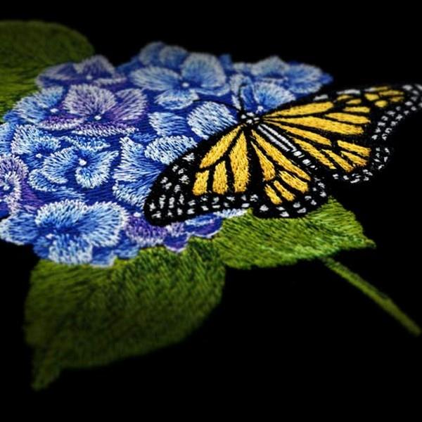 OESD Hydrangeas by Jackes Robinson