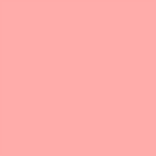 Colorworks Rose Petal - 233