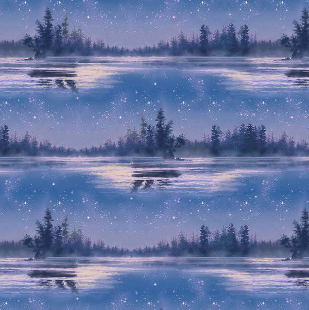 North Country Starry Lake - Nite