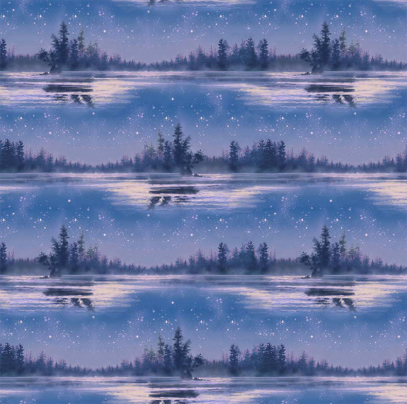 North Country Starry Lake - Nite