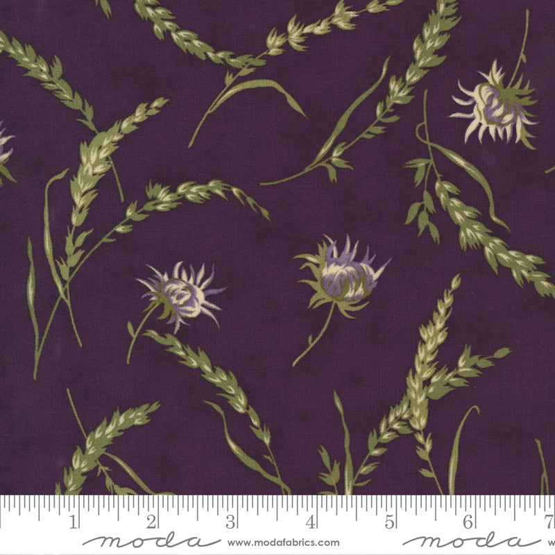 Mill Creek Garden Purple Main