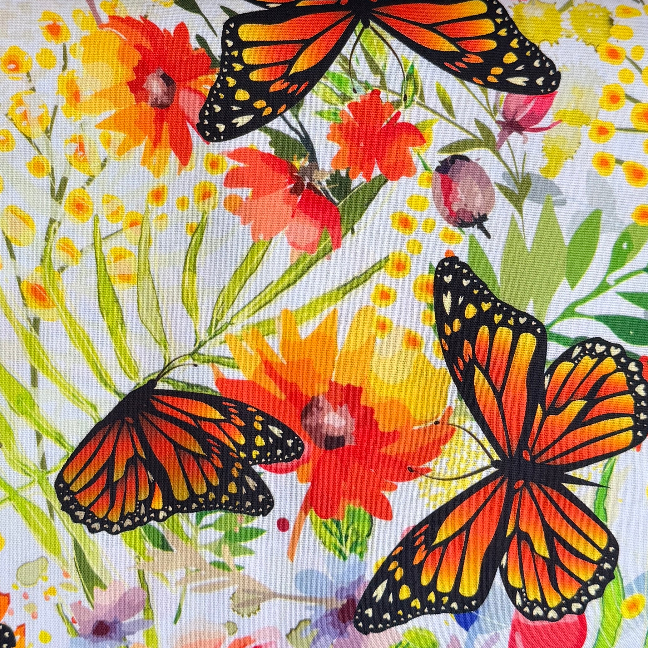 Novelty Butterflies - Bright