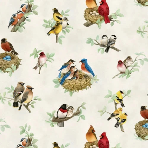 Beautiful Birds - Cream Bird Nest