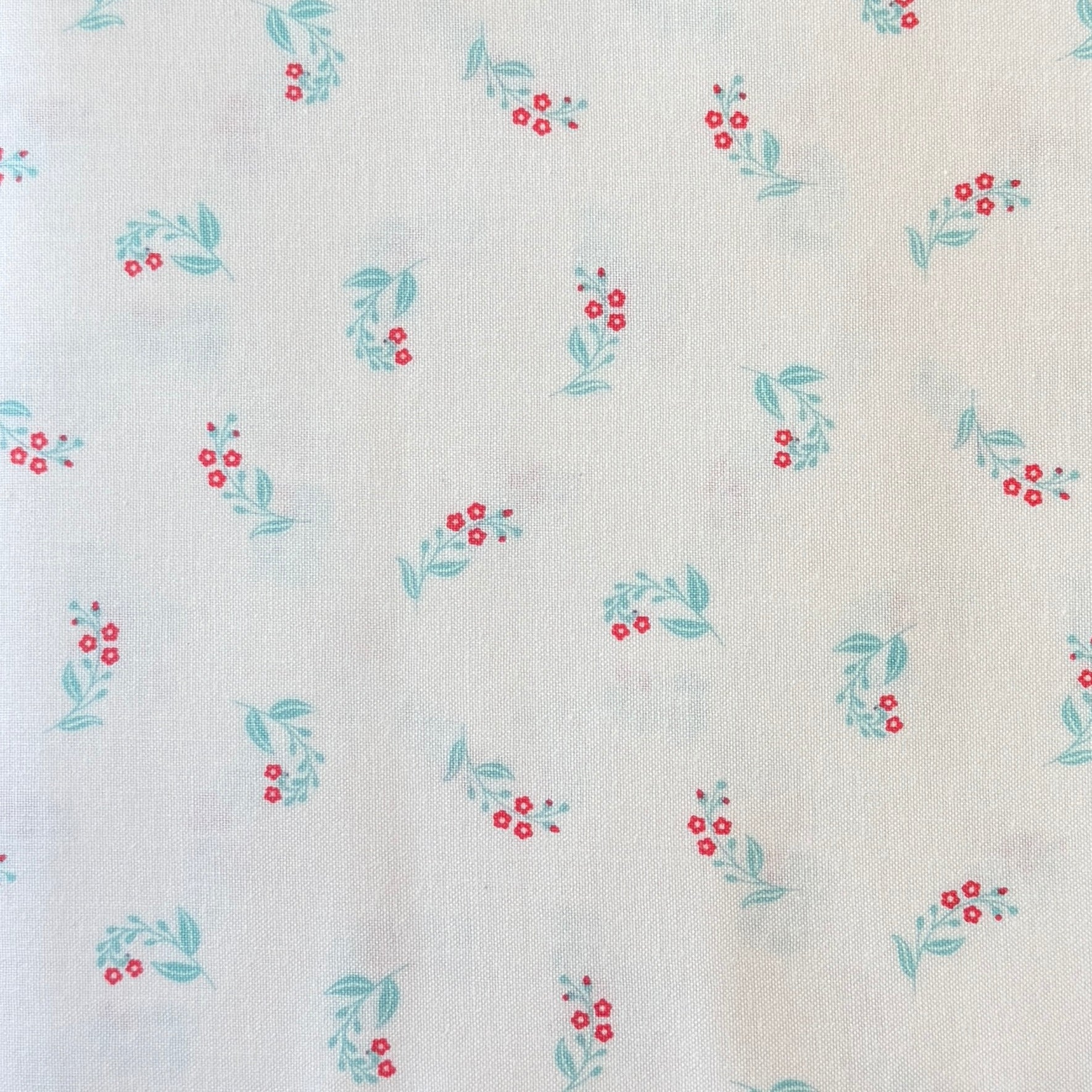 Floral Romance Speedwell White