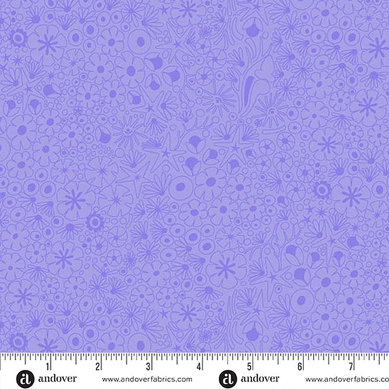 Color Camp Dusk Shallows - Light Violet