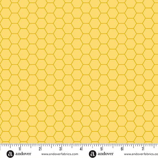 Sunny Honey Honeycombs