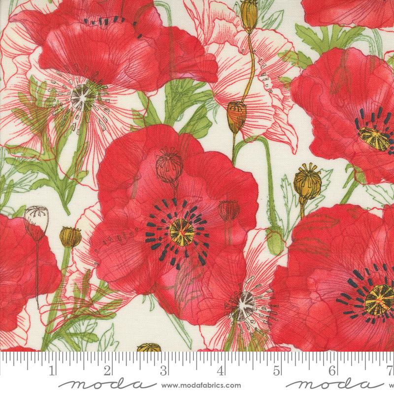 Superbloom Large Poppy Cream