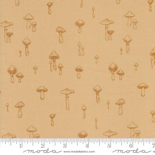 Autumn Forest Mushroom Mirage Sand