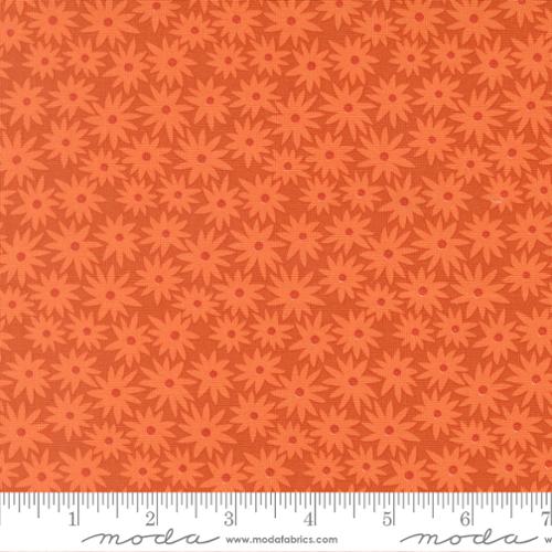 Scenery Sedum Elizabeth Hartman - Yam
