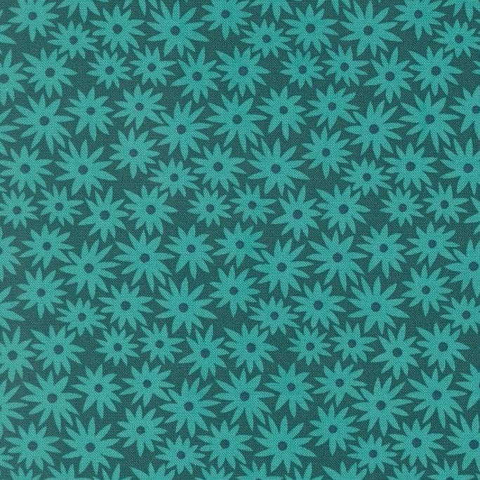 Scenery Sedum Elizabeth Hartman - Dark Teal