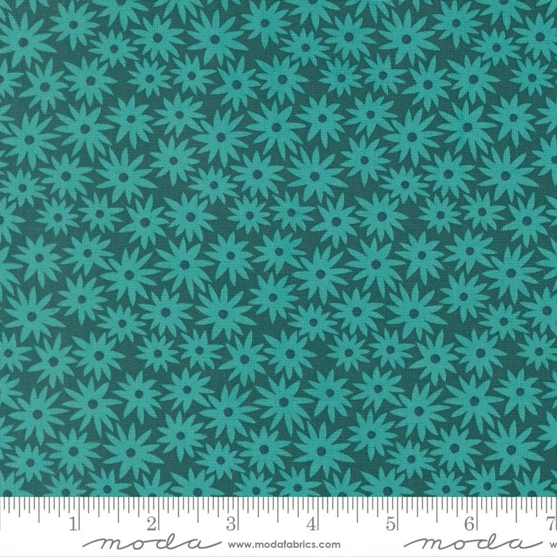 Scenery Sedum Elizabeth Hartman - Dark Teal