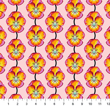 Iconic Flame Pansy