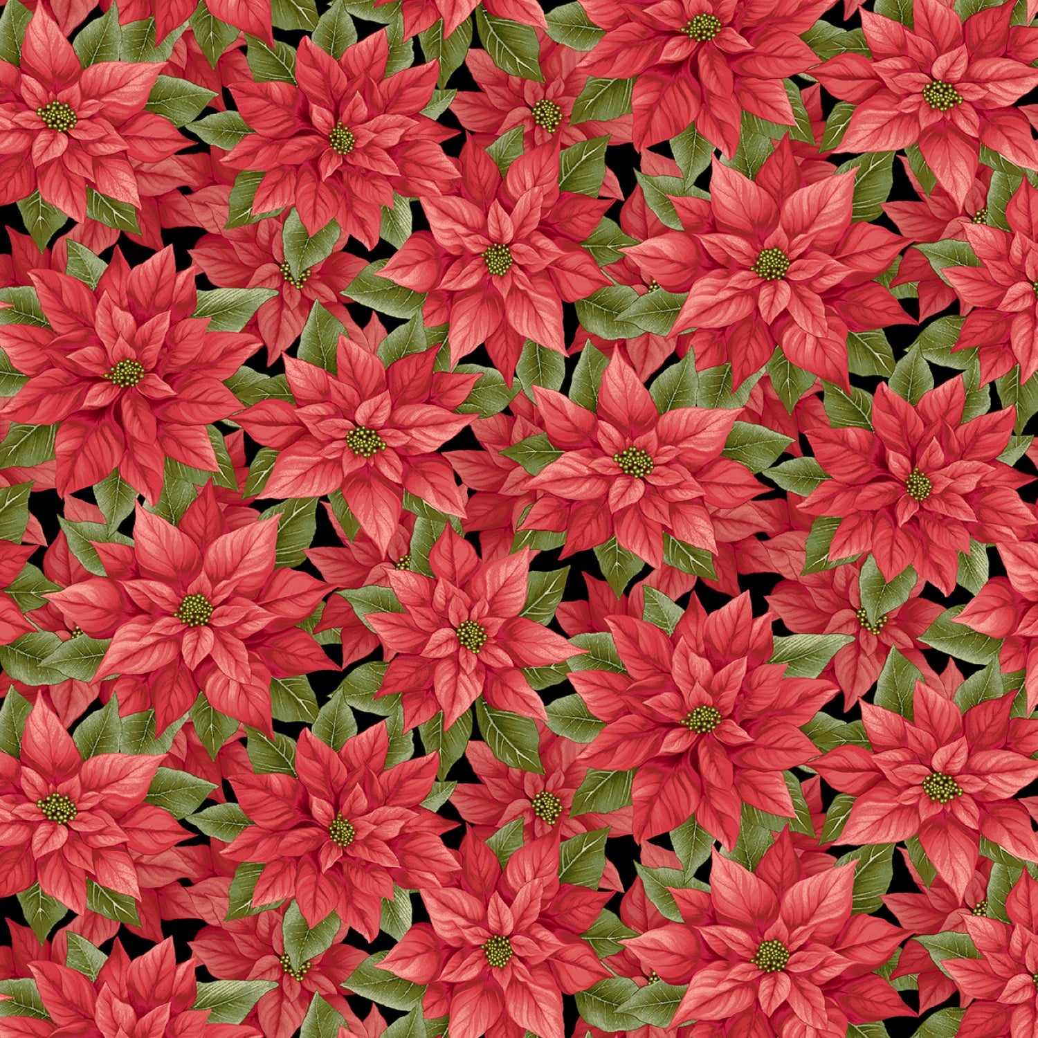 Sweet Christmas Memories Black and Red Multi Poinsettia