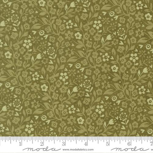 Fieldrush Ivy - Basil