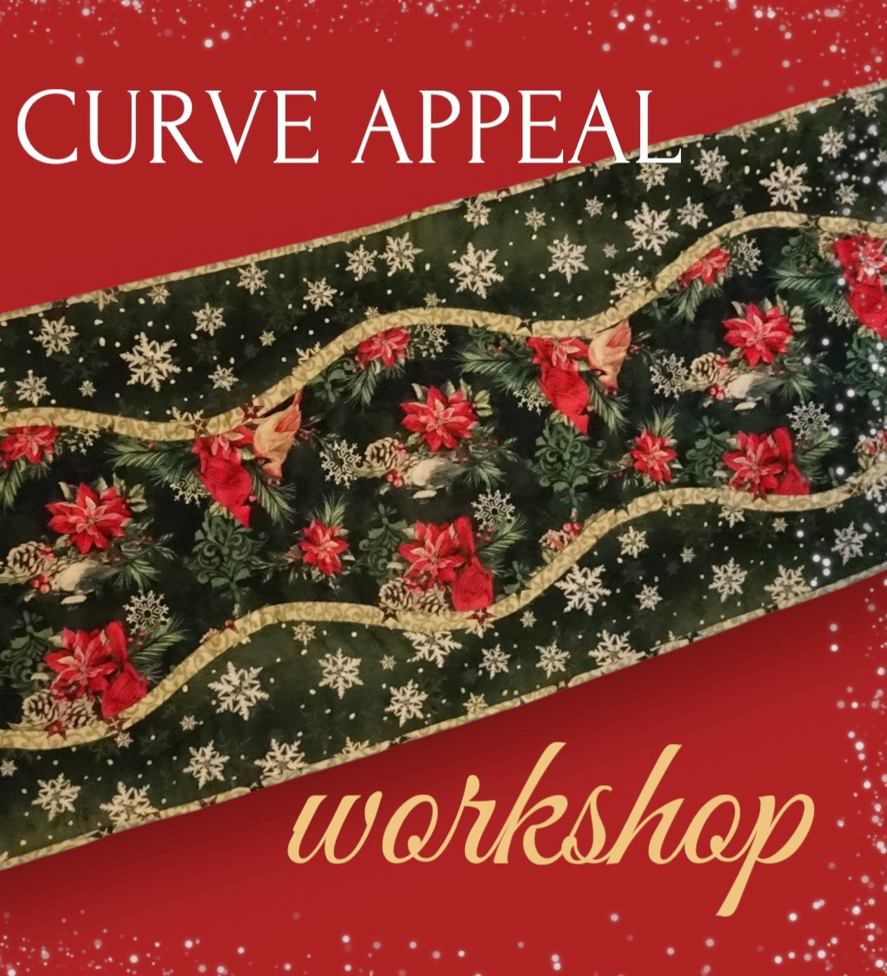 Curve Appeal Workshop