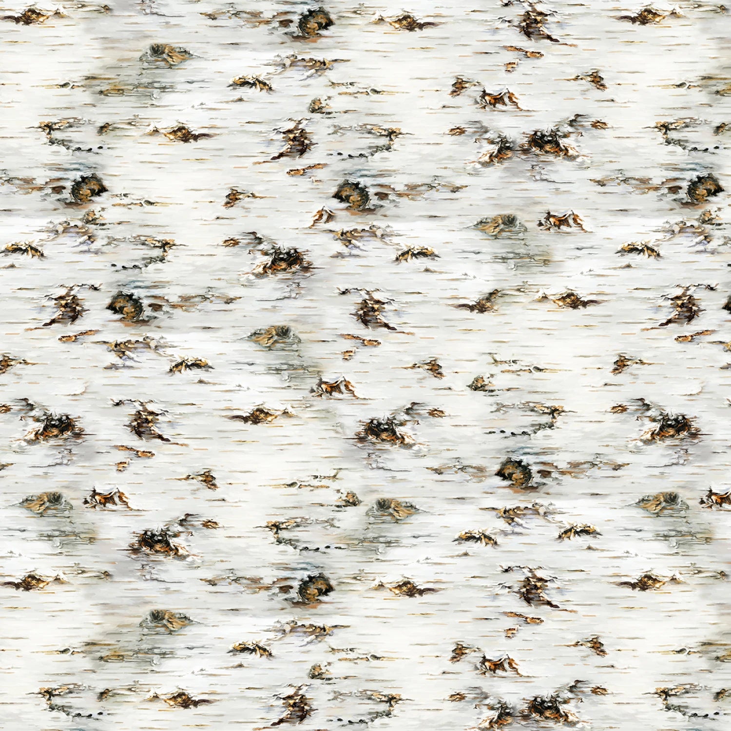 Spring Song Birch Tree Texture