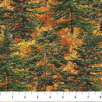 Naturescapes Autumn Woodland Rust Trees