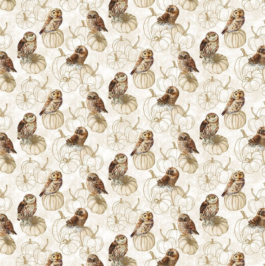 Night Owl Owls - Cream