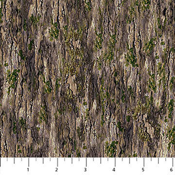 Naturescapes - Daydream Bark
