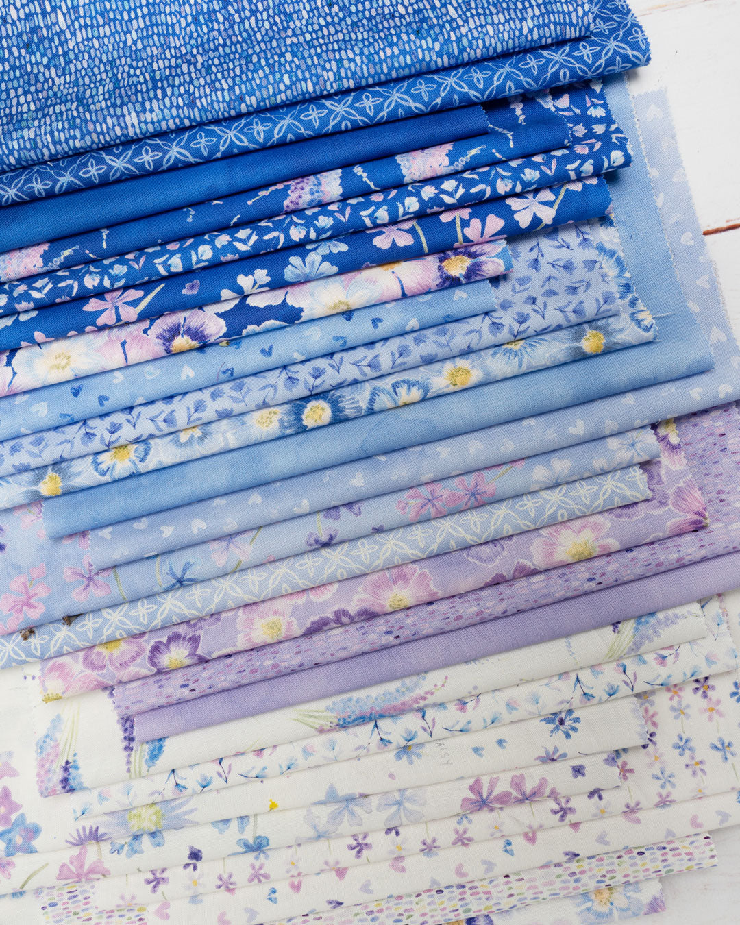 Delphinium Jelly Roll