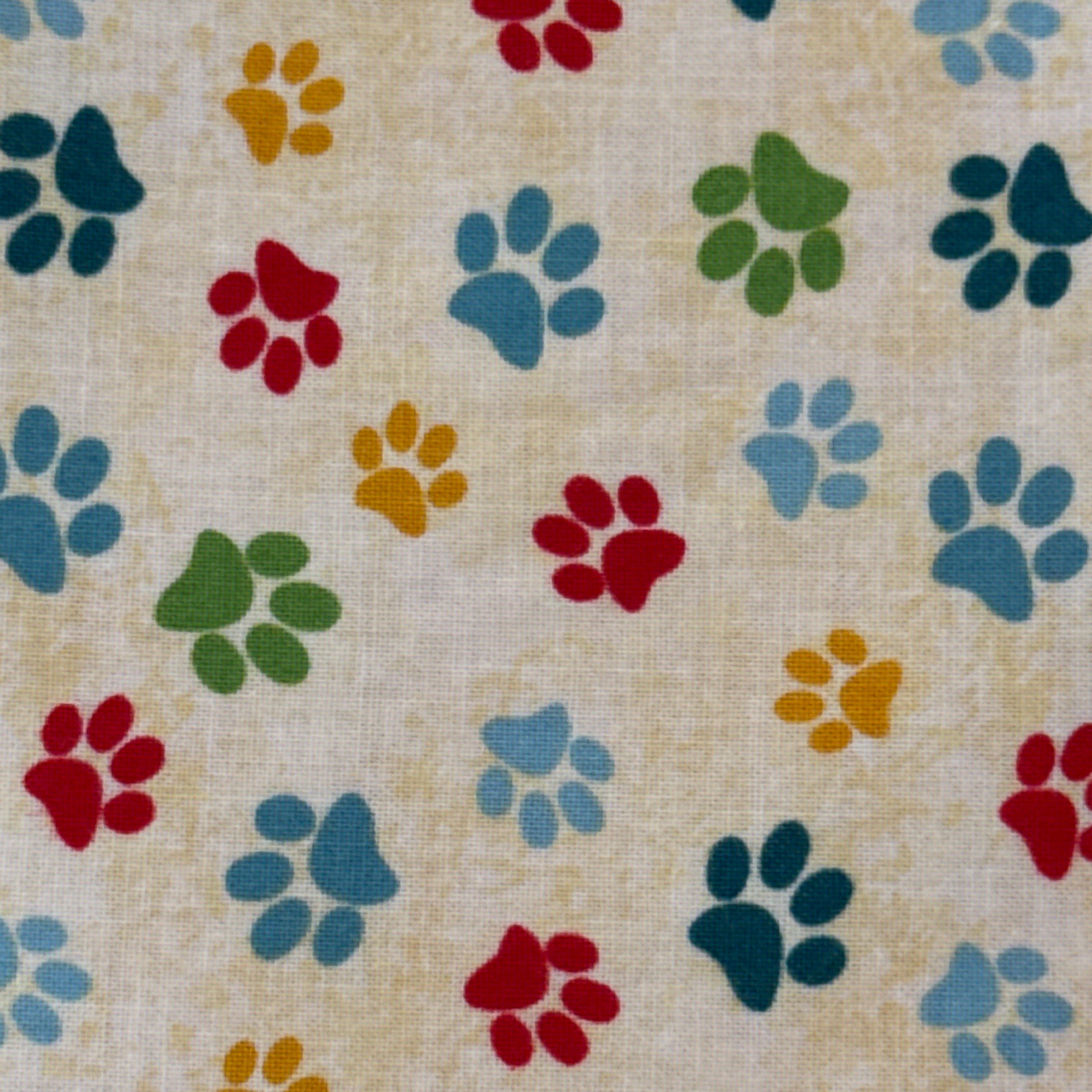 Dog Wisdom Dog Paws