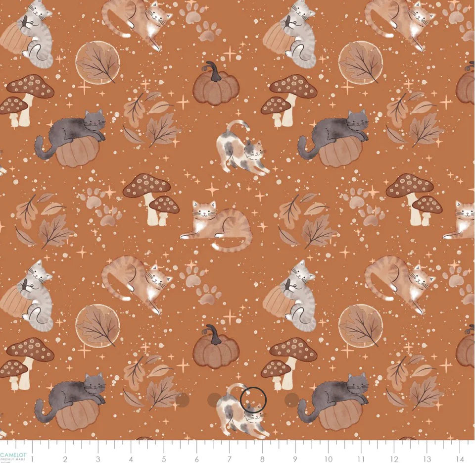 Pumpkins and Paws Orange Forest Witch Familiars