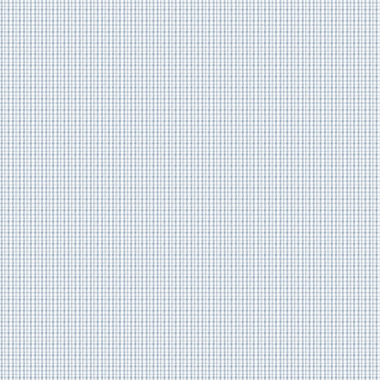 Soaring Dreams Blue Gingham