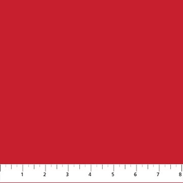 Cozy Soft Minky Red