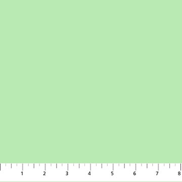 Cozy Soft Minky Mint Green