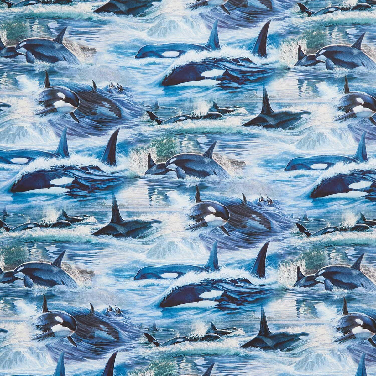 Naturescapes Voyage Orcas - Blue Multi