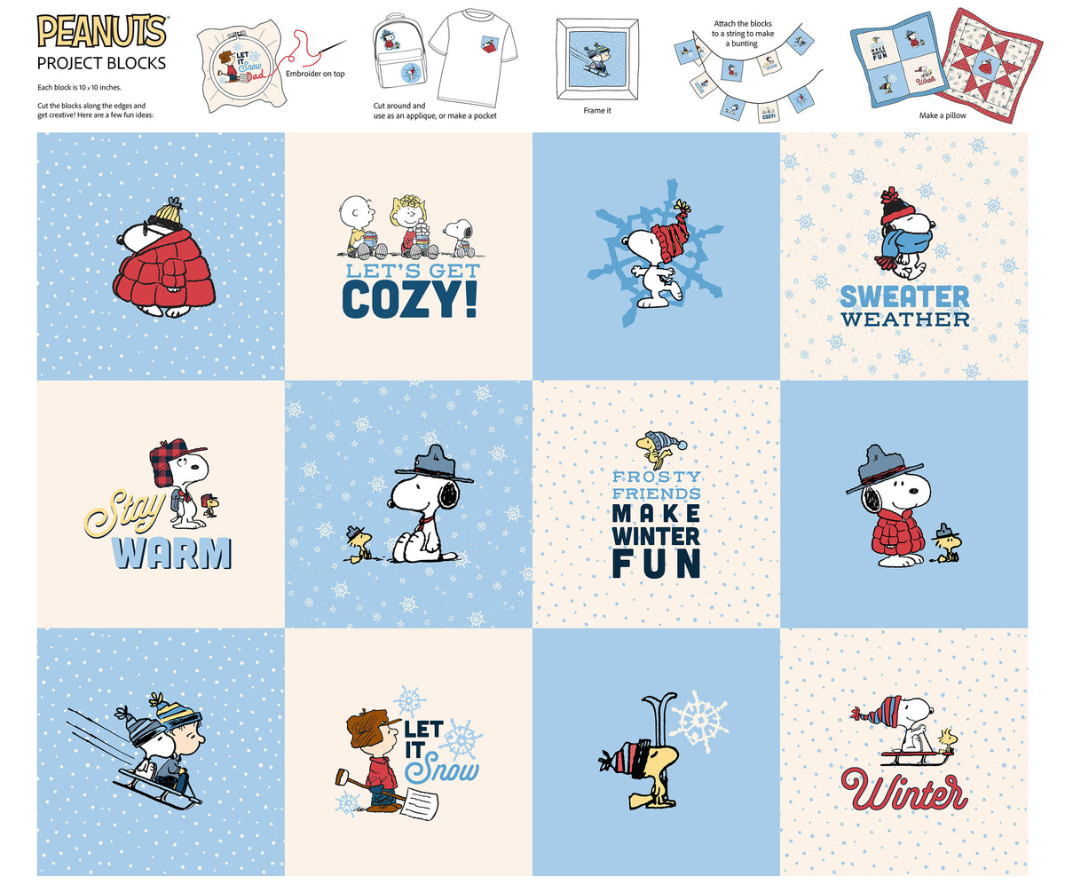 Peanuts Frosty Project Blocks
