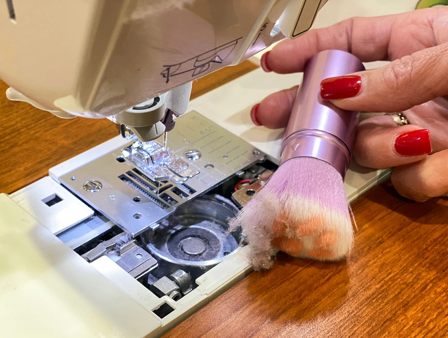 The Cat Paw Lint Brush
